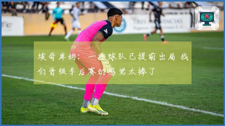 埃奇库姆：一些球队已提前出局 我们晋级季后赛的感觉太棒了